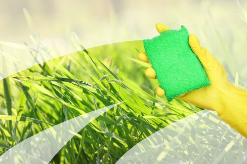 Professional sofa cleaning for a family living room in Wimbledon